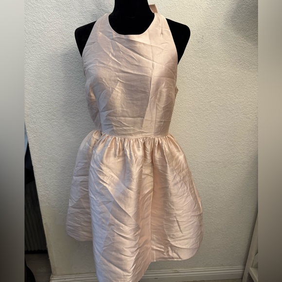 Kate Spade Blush Pink Dress - Picture 1 of 5